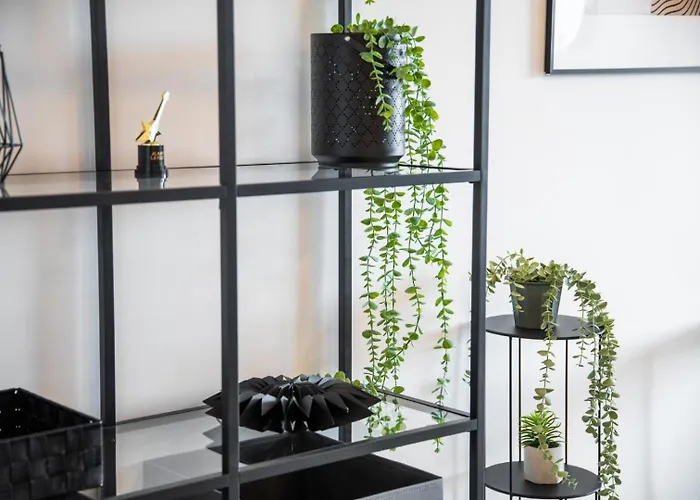 Daire Location - Walk To The Beach, Shops & Dining Playa de las Américas