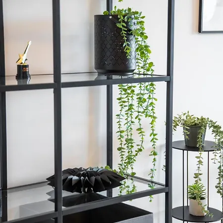 Appartamento Location - Walk To The Beach, Shops & Dining Playa de las Americas (Tenerife)